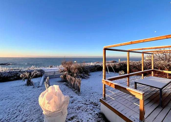 Apartman Pailletes 8p - Face *